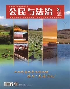 公民与法治