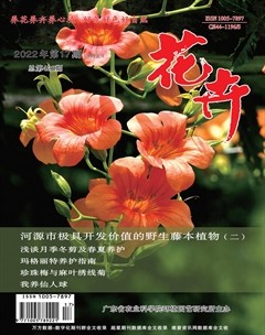 花卉·上半月