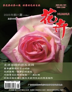 花卉·上半月