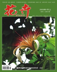 花卉·上半月