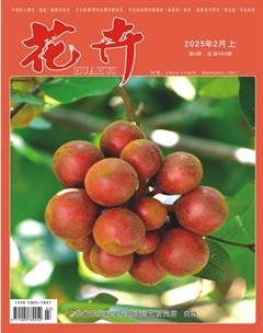 花卉·上半月