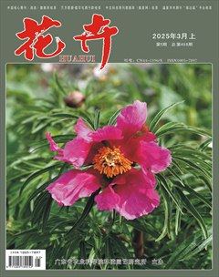 花卉·上半月