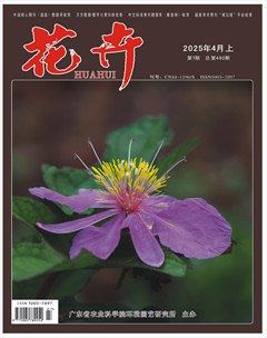 花卉·上半月