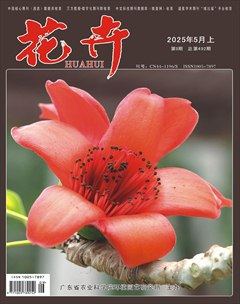 花卉·上半月