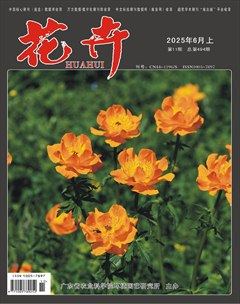 花卉·上半月