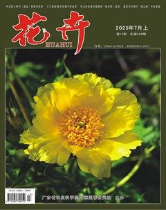 花卉·上半月