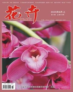 花卉·上半月