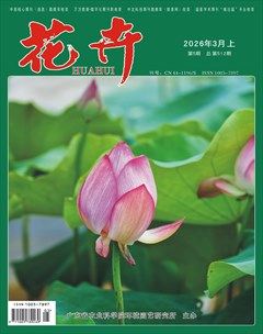 花卉·上半月