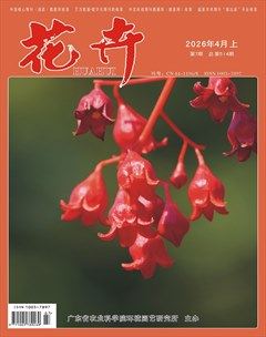 花卉·上半月