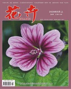 花卉·上半月