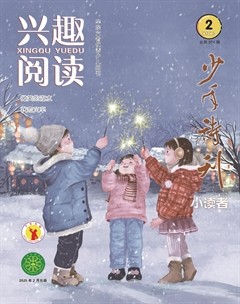 興趣閱讀·少年詩刊