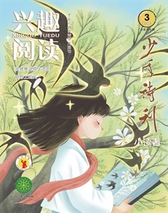 兴趣阅读·少年诗刊