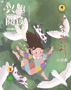 興趣閱讀·少年詩刊