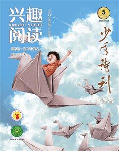 興趣閱讀·少年詩(shī)刊