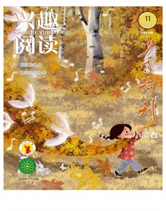 兴趣阅读·少年诗刊