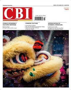 中国新书（英文版）