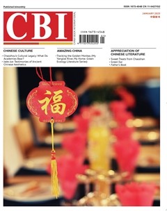 中国新书（英文版）