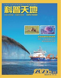 科普天地