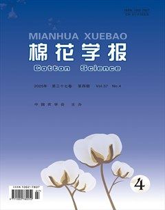 棉花学报