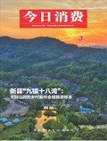 今日消费