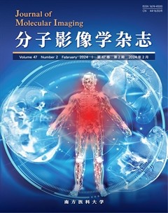 分子影像学杂志