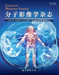 分子影像学杂志