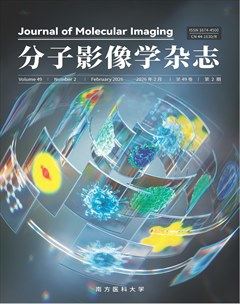 分子影像学杂志