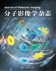 分子影像学杂志