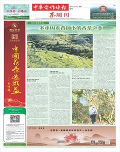 中华合作时报·茶周刊