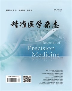 精准医学杂志