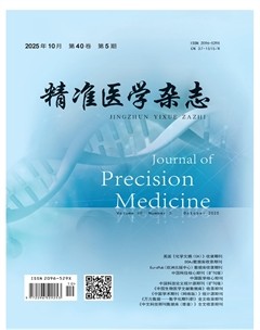 精准医学杂志