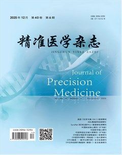精准医学杂志