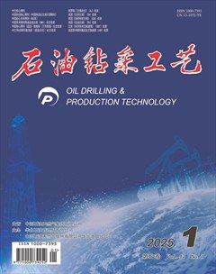 石油鉆采工藝