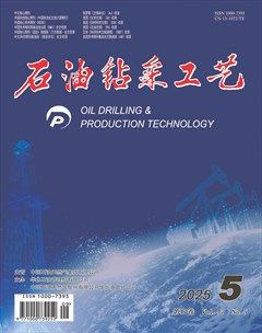 石油钻采工艺