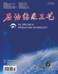 石油钻采工艺
