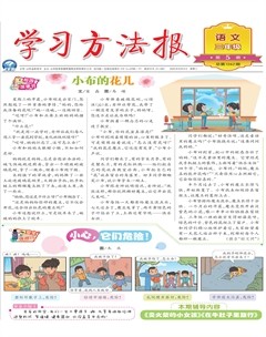 学习方法报·小学语文三年级