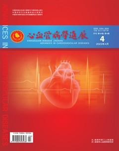 心血管病学进展