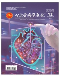 心血管病学进展