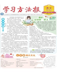 学习方法报·小学语文六年级