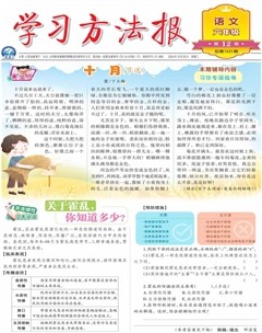 学习方法报·小学语文六年级