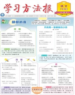 学习方法报·小学语文六年级