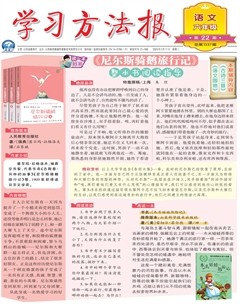 学习方法报·小学语文六年级