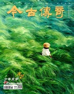今古传奇·少年文学