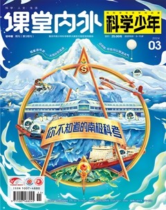 课堂内外·初中版（科学少年）