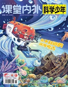 课堂内外·初中版（科学少年）