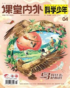 课堂内外·初中版（科学少年）