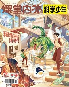 课堂内外·初中版（科学少年）