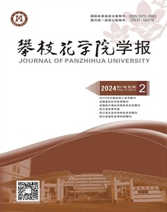 攀枝花学院学报