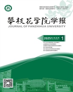 攀枝花学院学报