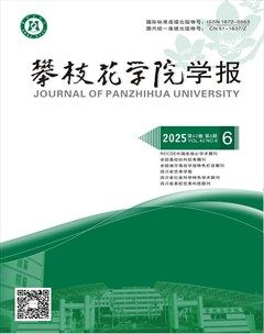 攀枝花学院学报